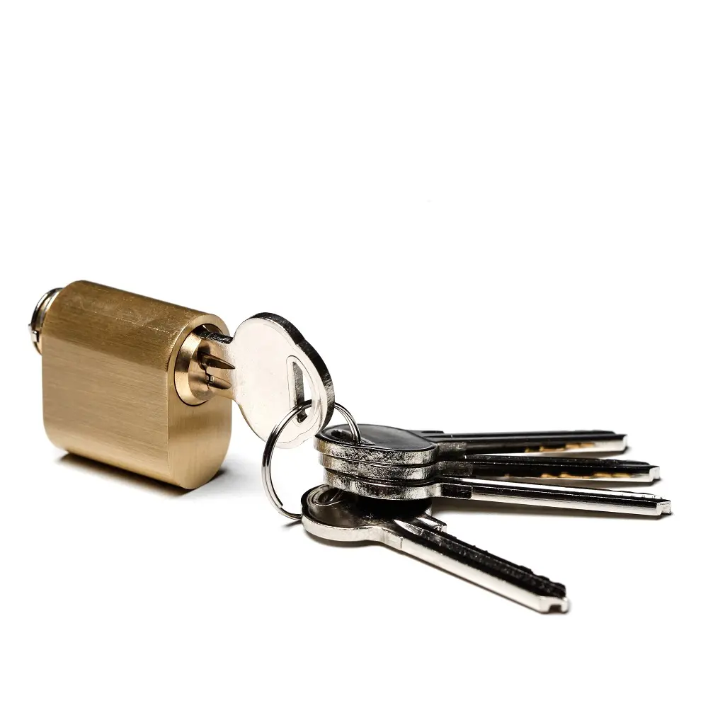 cilindras auksas 701 olv