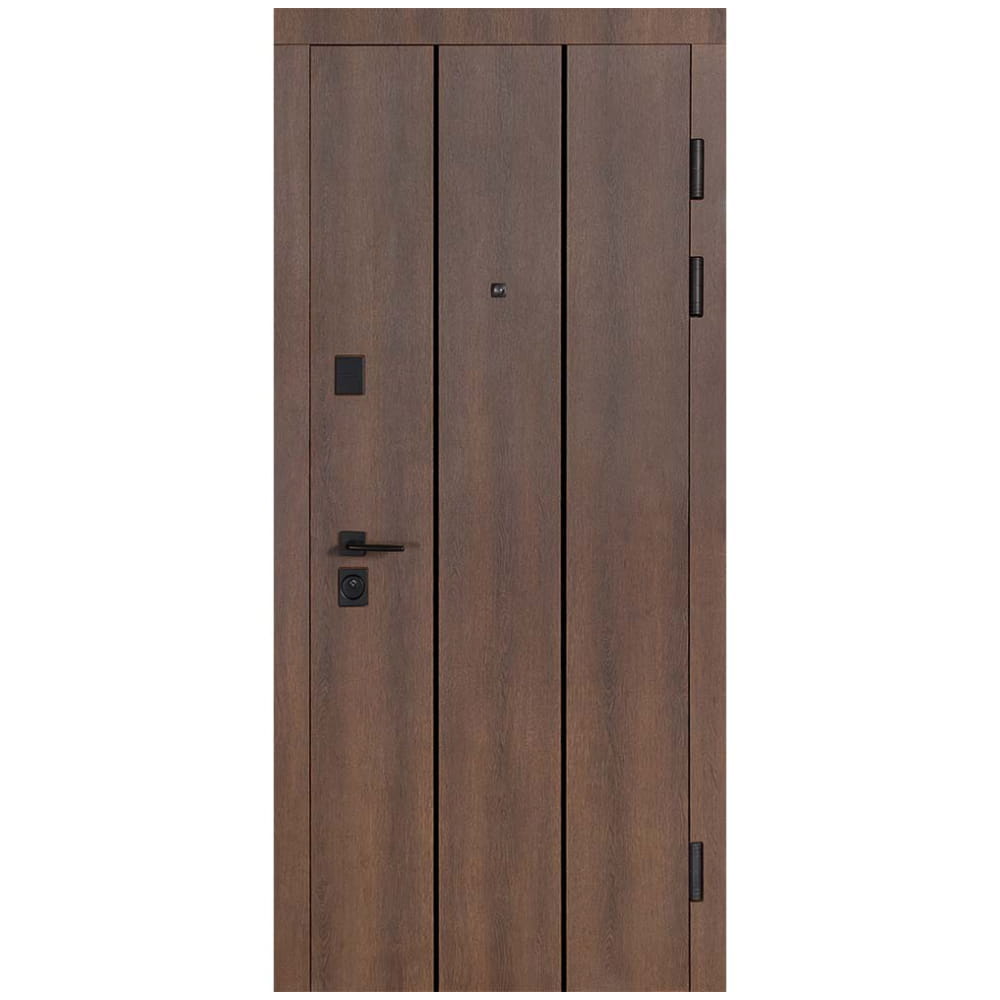 TRIO-435-0 Metalinės buto durys — TRIO 435 Dreamwood - Image 1